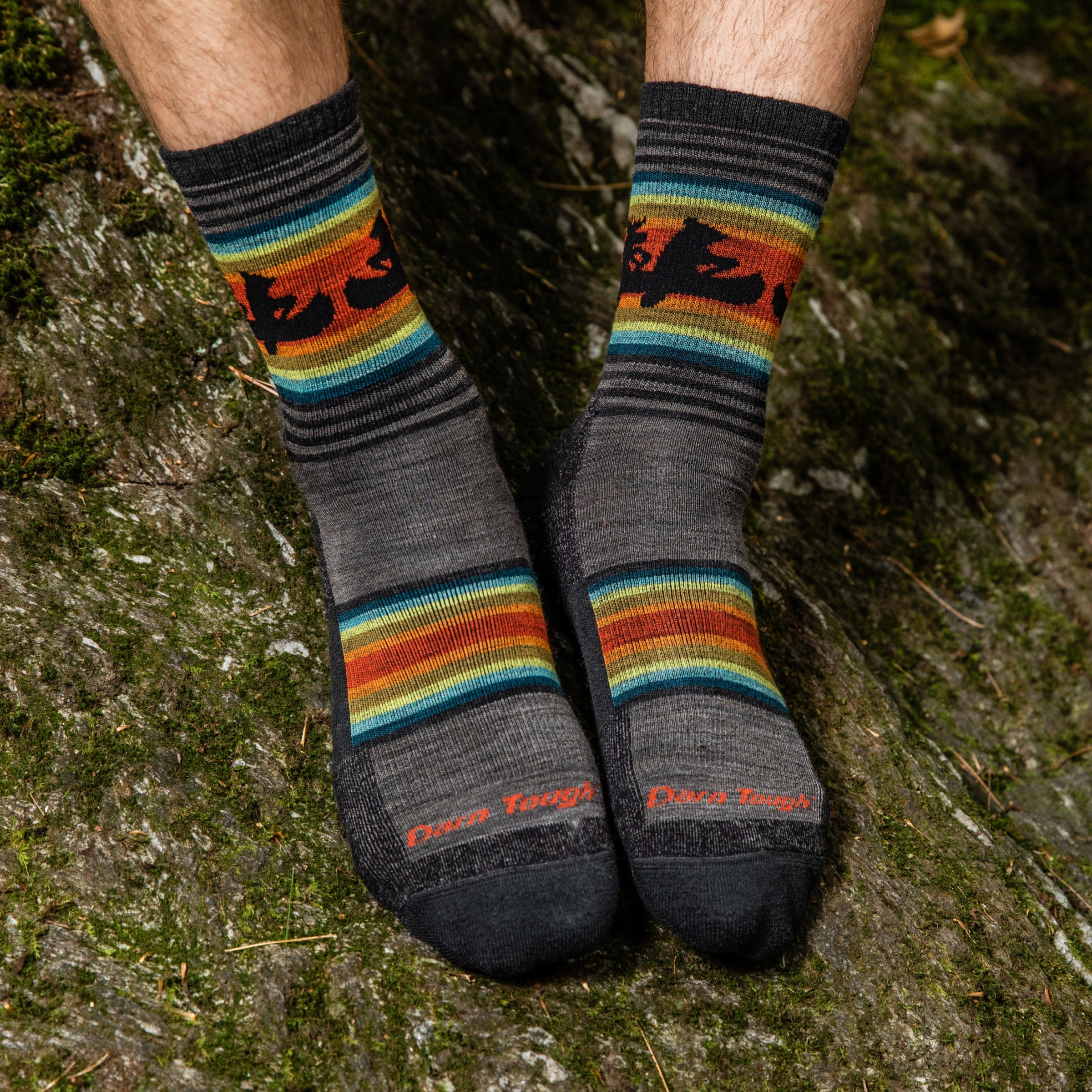 Men's Willoughby Micro Crew Lightweight Hiking Socks