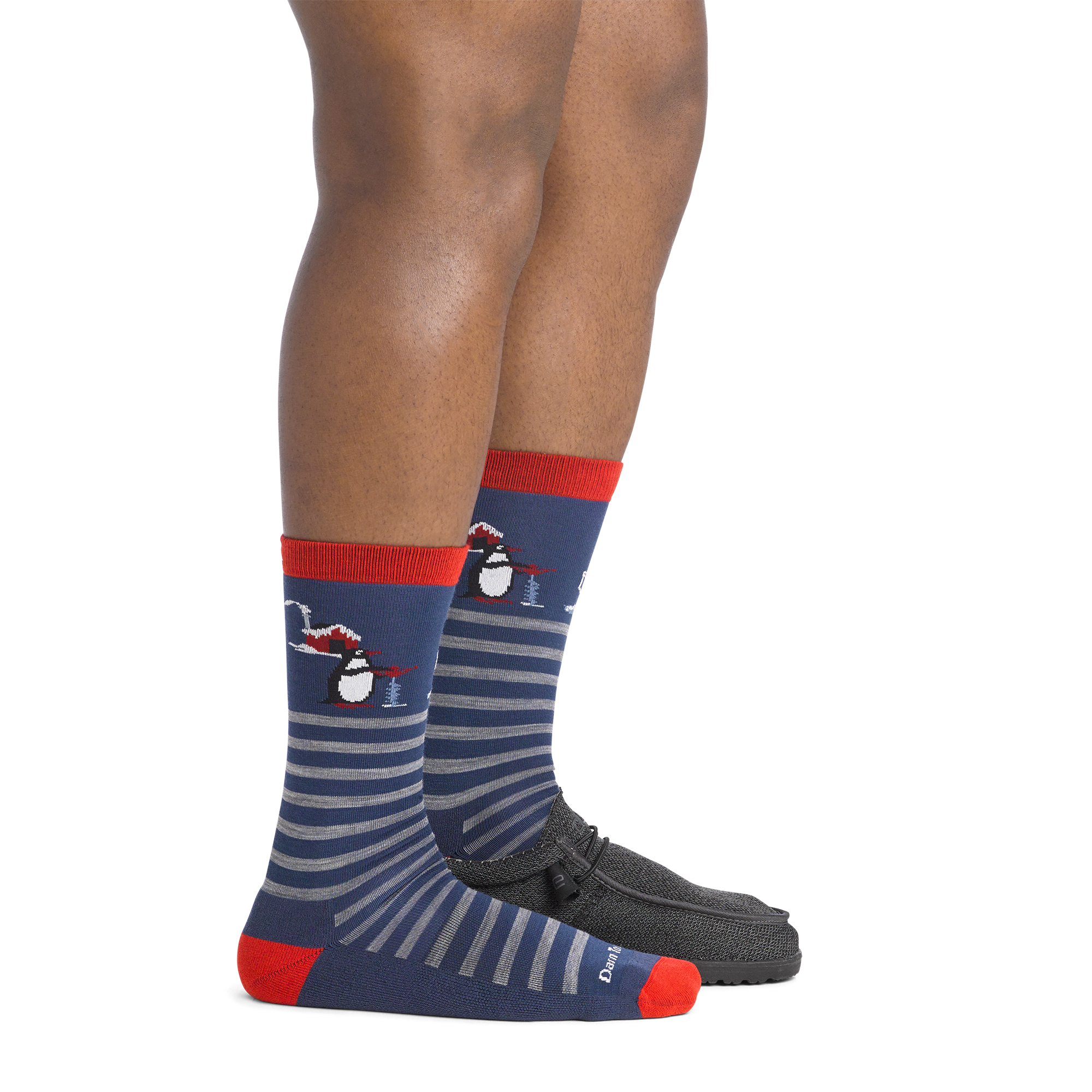Men's Wild Life Crew Lightweight Lifestyle Socks