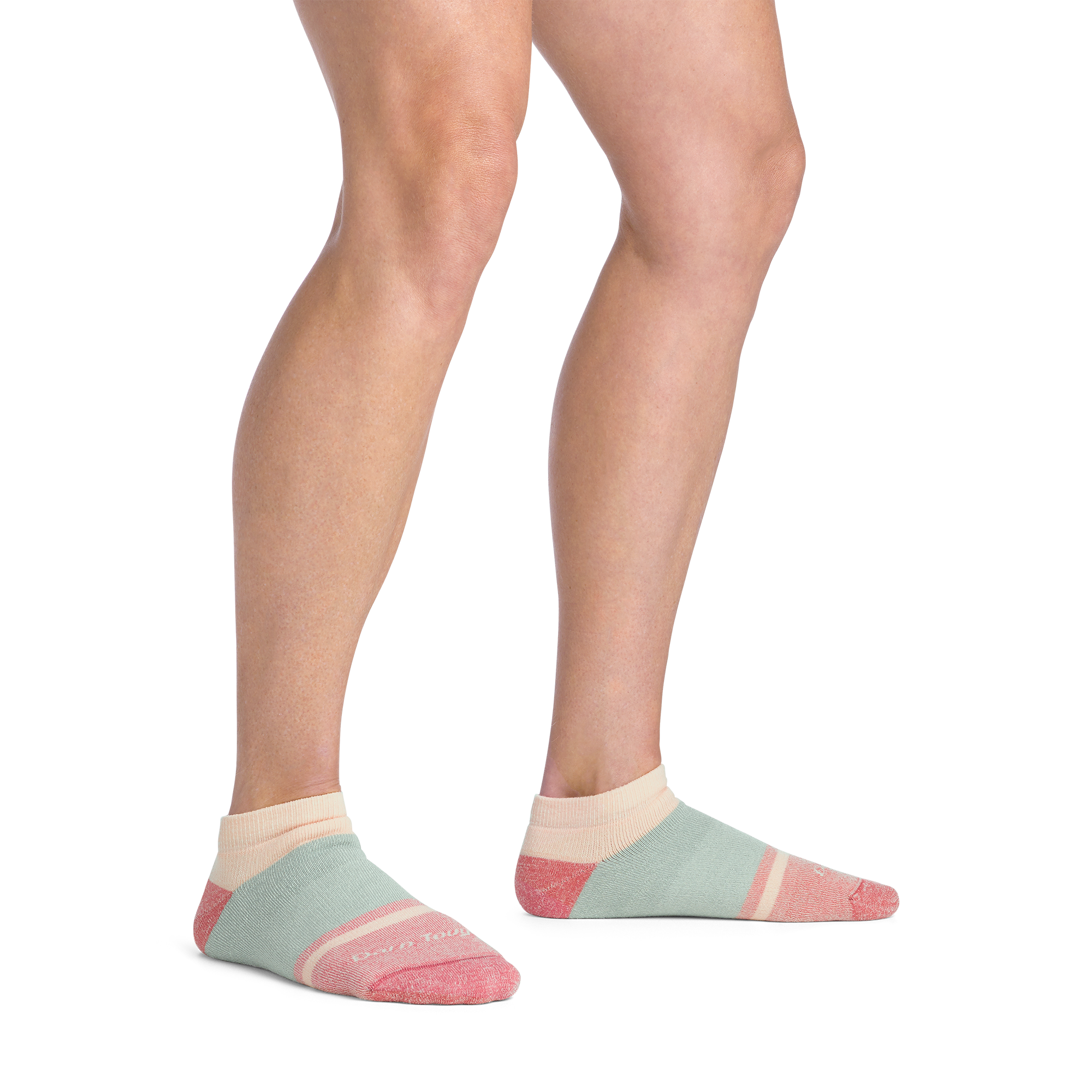 Women's  No Show Heavyweight Lifestyle Socks